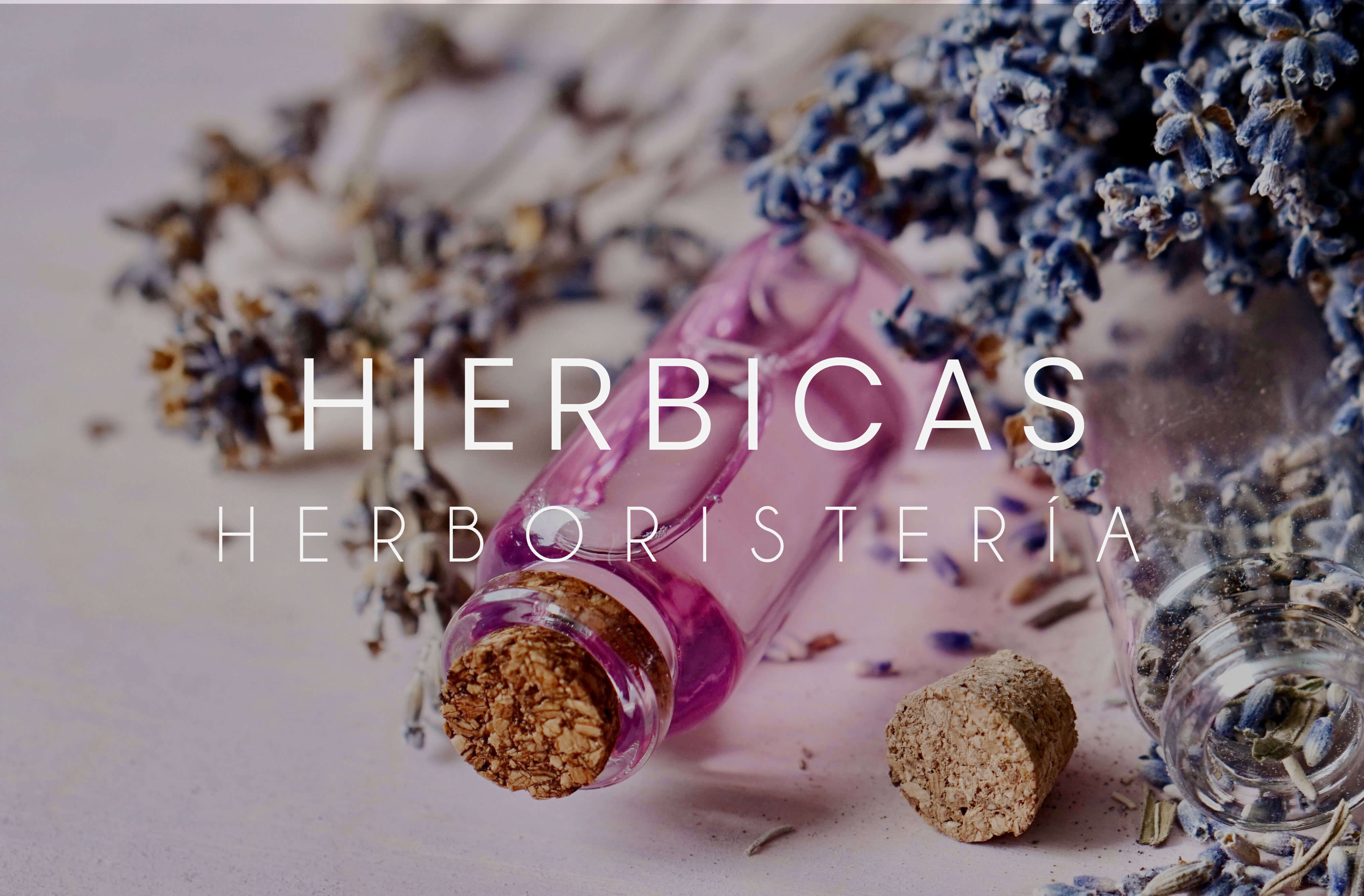herboristeria-hierbicas-utebo-empresas