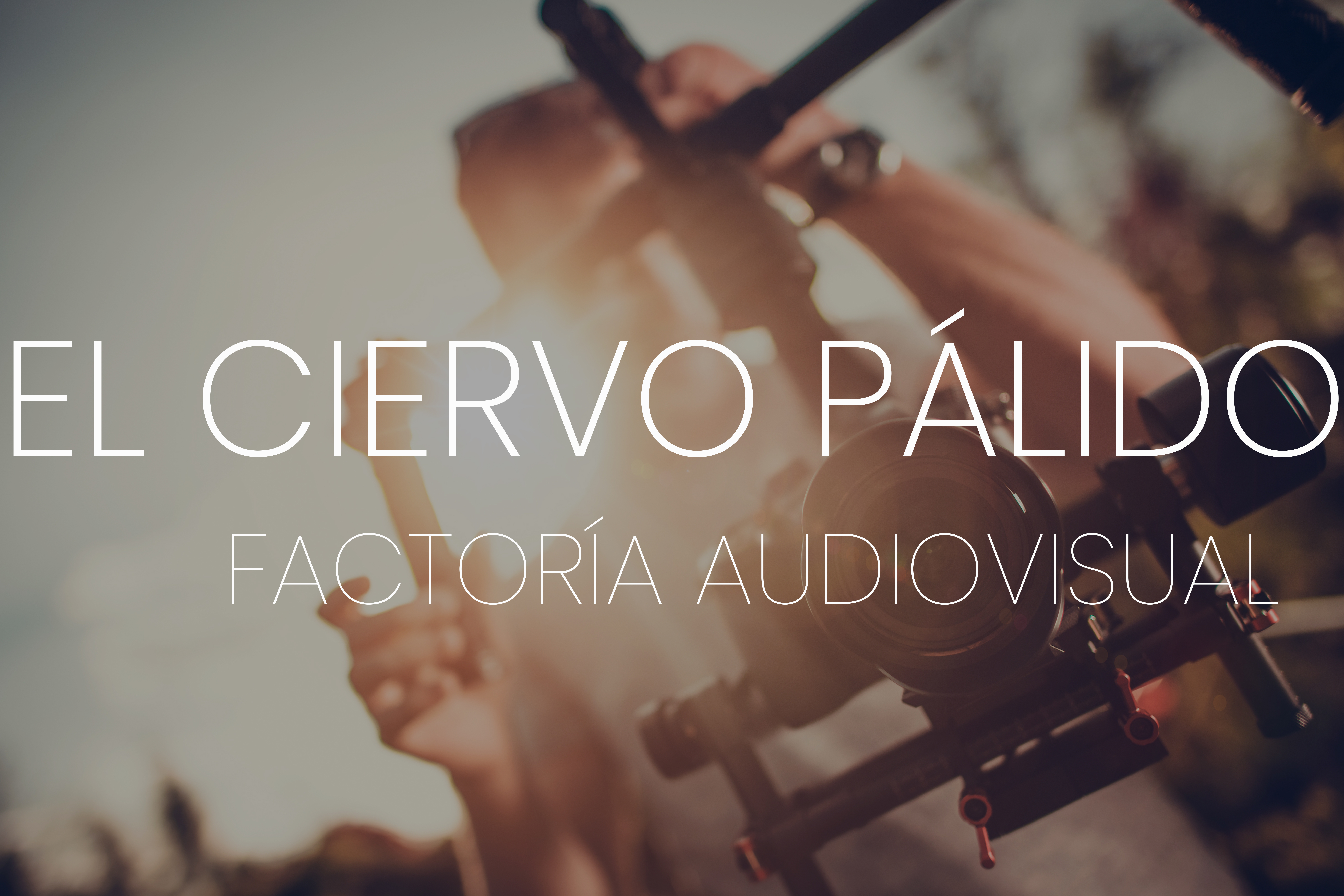 el-ciervo-palido-factoria-audiovisual-negocio-local-utebo-web-online