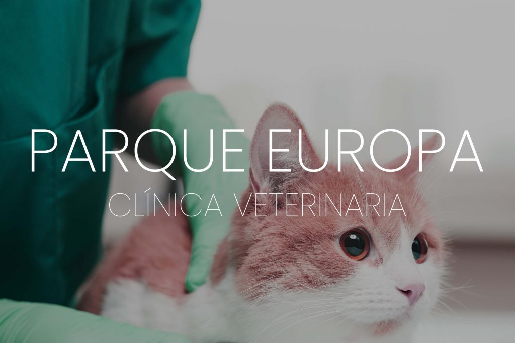 clinica-veterinaria-parque-europa-utebo-empresa