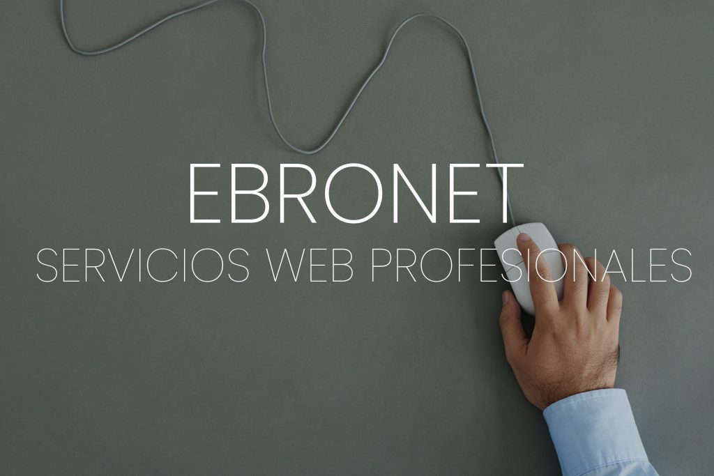 ebronet-desarrollo-web-empresa-de-utebo